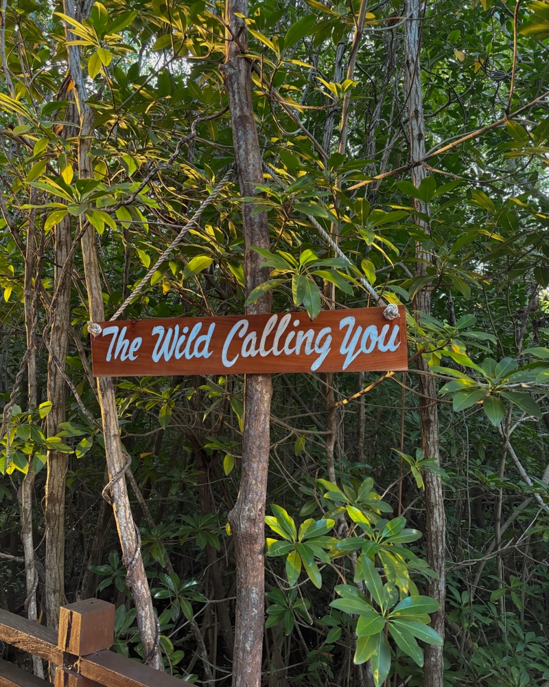 A photo of a sign that says "The Wild is Calling you" at the Paradisus La Perla resort in Playa del Carmen, Mexico