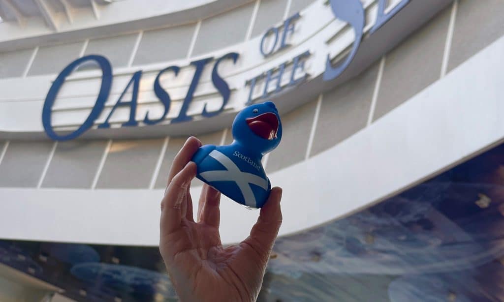 Cruising Ducks @owenplaces Owen Places
