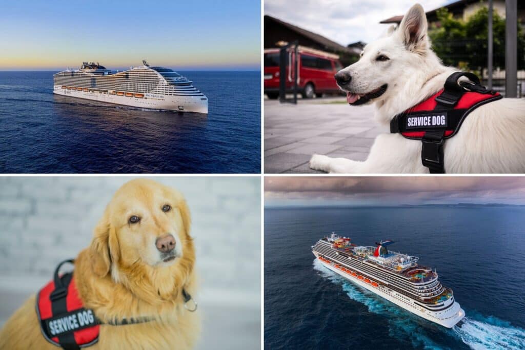 Image of: Service Dogs on a cruise ship