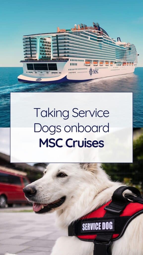 Service Dogs onboard MSC Cruises