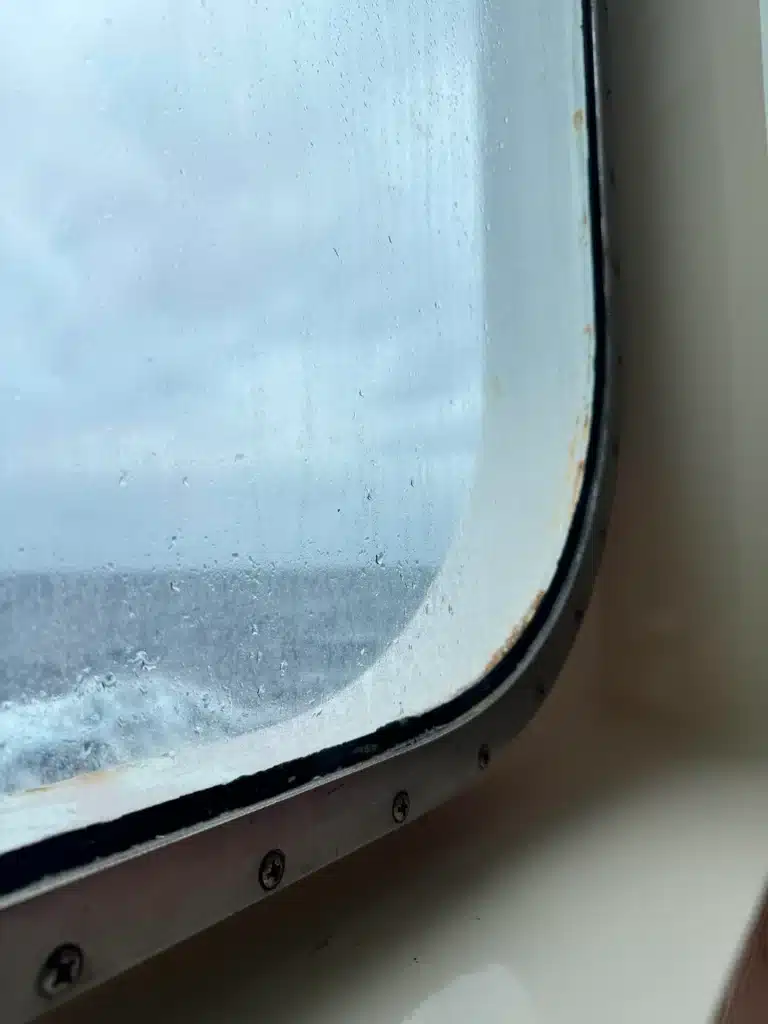 Amazing Heartwarming Reddit Story: Enchantment of the Seas Cupholder Goes Viral