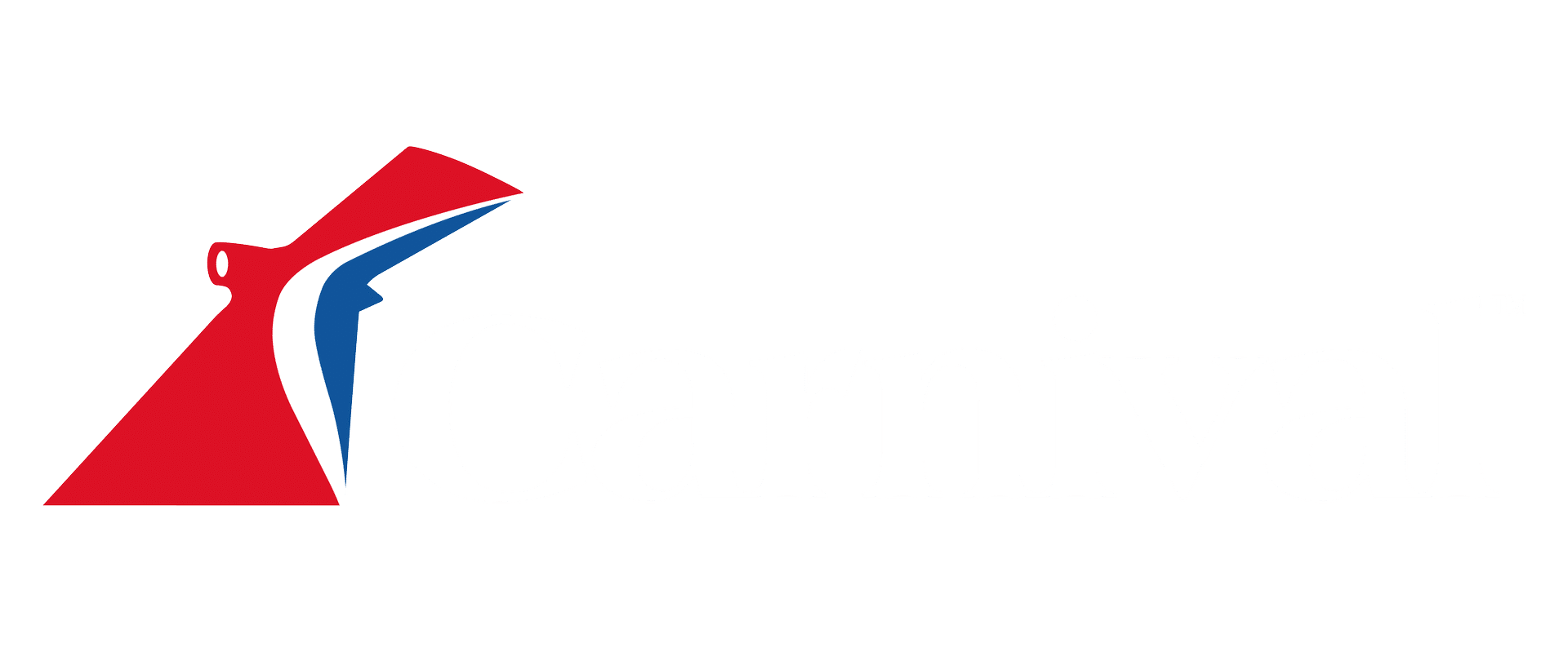 Carnival Cruises Logo