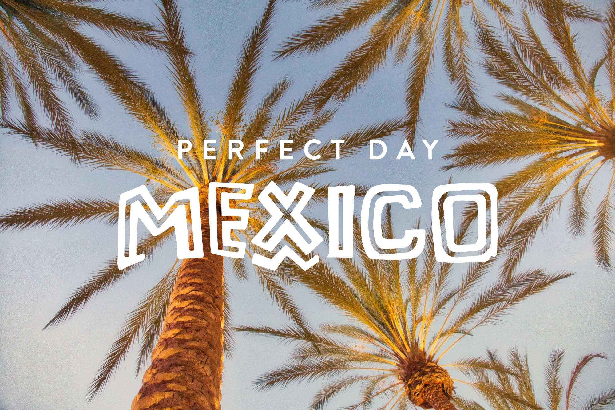 Royal Caribbean Perfect Day Mexico Logo over Palm Trees