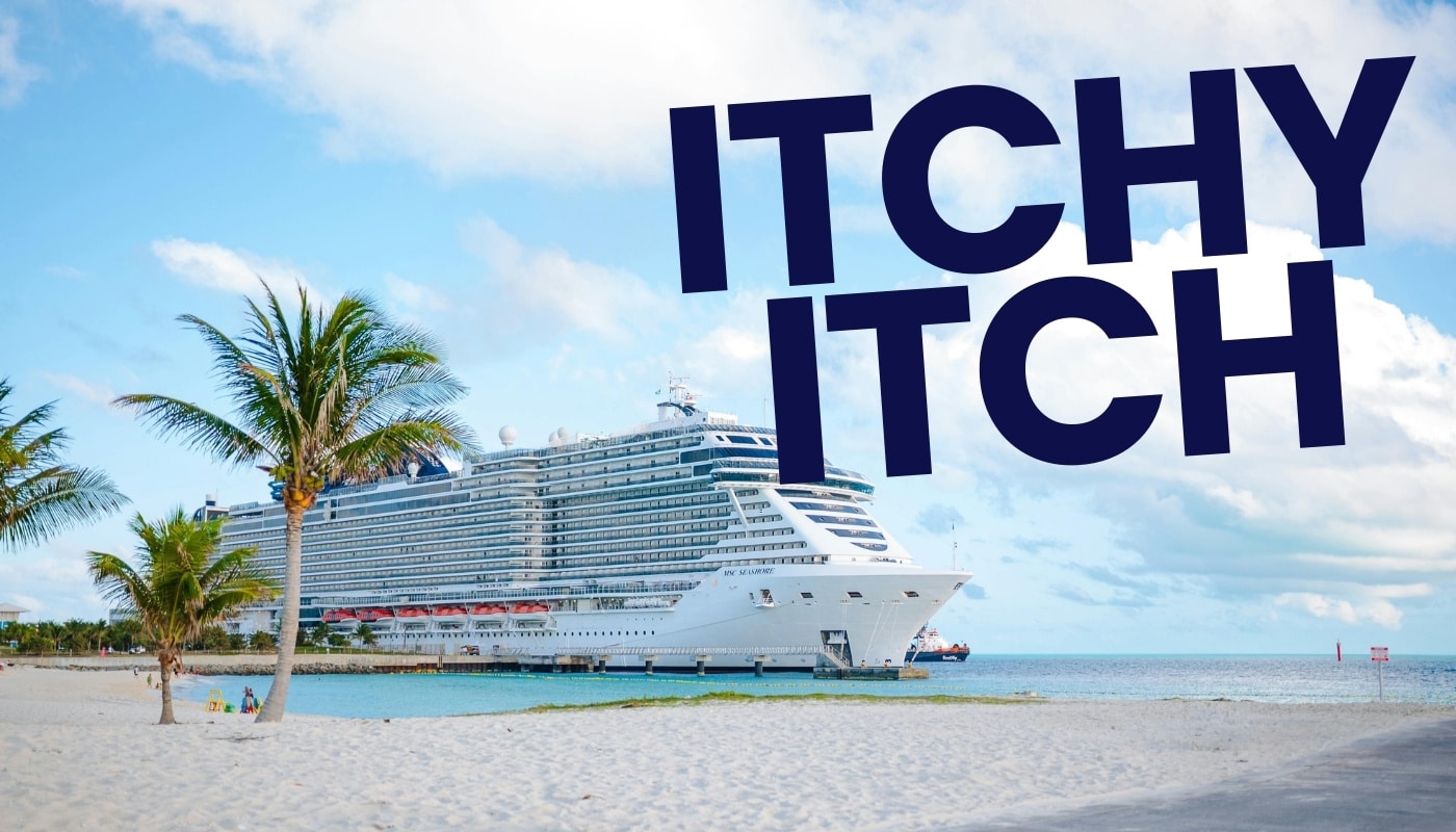 Bed Bugs on Cruise Ships - Stock photo of bed bug infestation